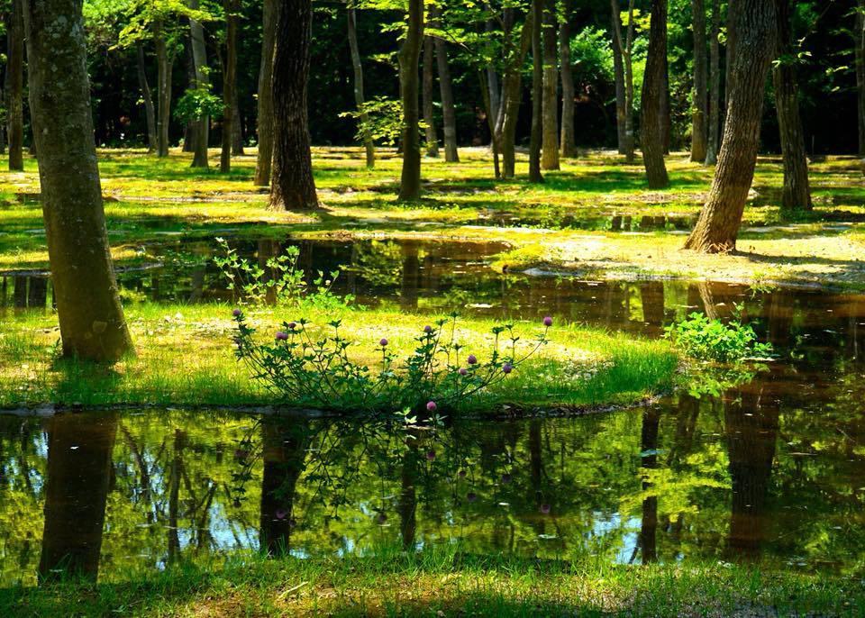 Art Biotop 那須町 エクステリア 写真